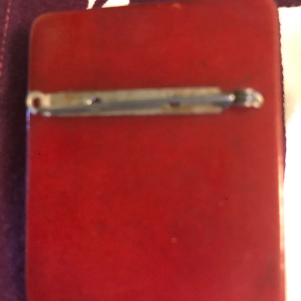 Late 1900 Cameo Celluloid & Bead Bag